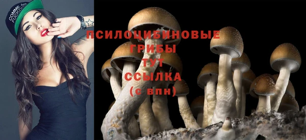 мдпв Балабаново