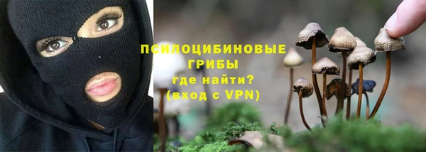 мдпв Балабаново
