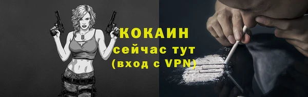 гашик Балахна