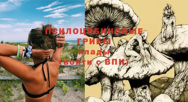 гашик Балахна