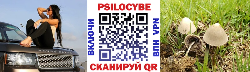 Галлюциногенные грибы Cubensis  Звенигово 